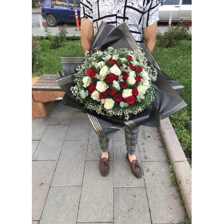 Red and White Rose